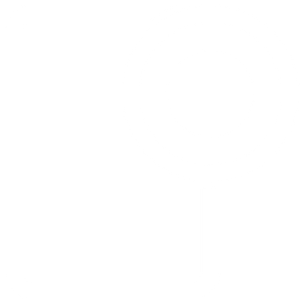 Packopsy LLC